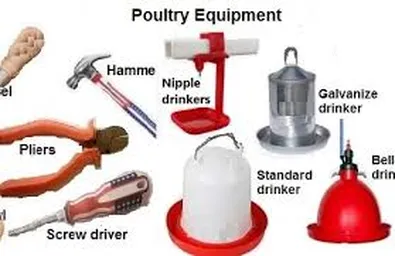 Poultry Equipment